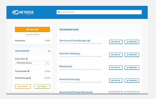 Metadisk