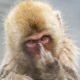 ボルケーノ さんのプロフィール写真